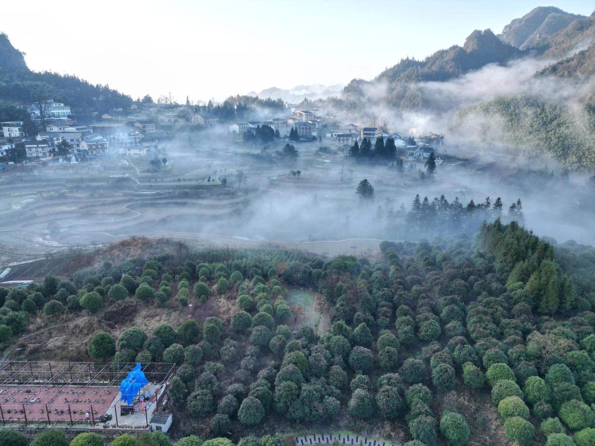 Hilltop House Resort Zhangjiajie Esterno foto